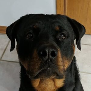 Meet your Posher, Jordan